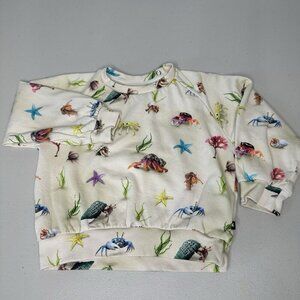 Molo Baby Disc Hermit Crab Sweatshirt Size 92 US 2 Yrs‎